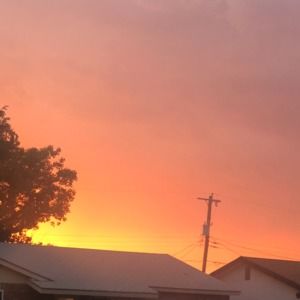 Meet your Posher, Tony